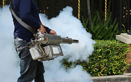 insecticide_pic