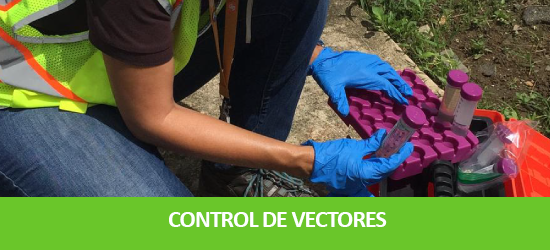 Control Vectores