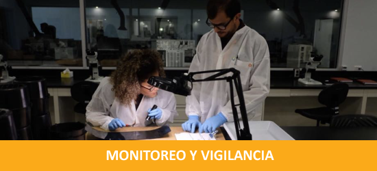 monitoreo
