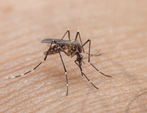 Preocupante registro de casos de dengue en Puerto Rico