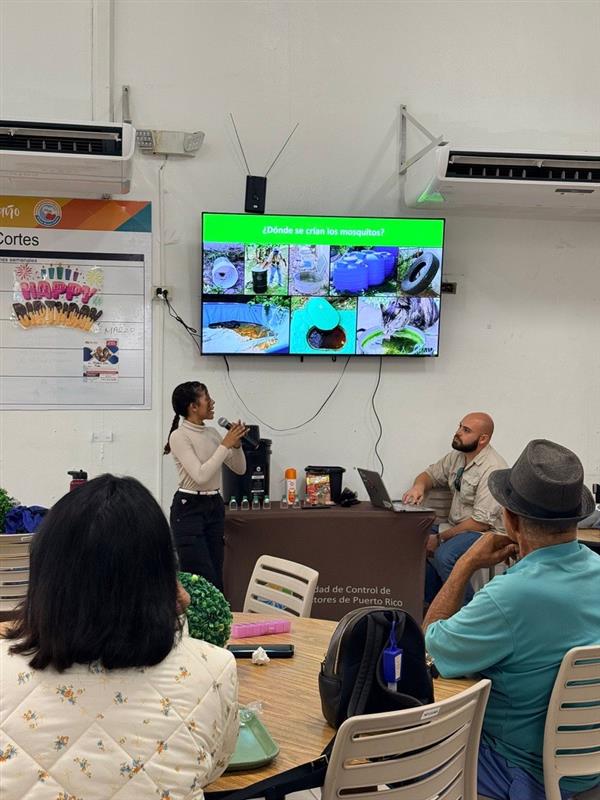 Image – 2026-03-31T111447.021